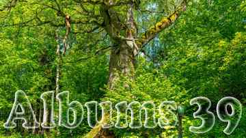 alb39